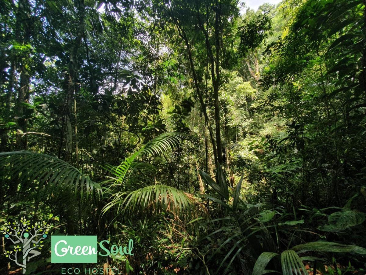 Greensoul Hospedagem Ubatuba Exterior photo